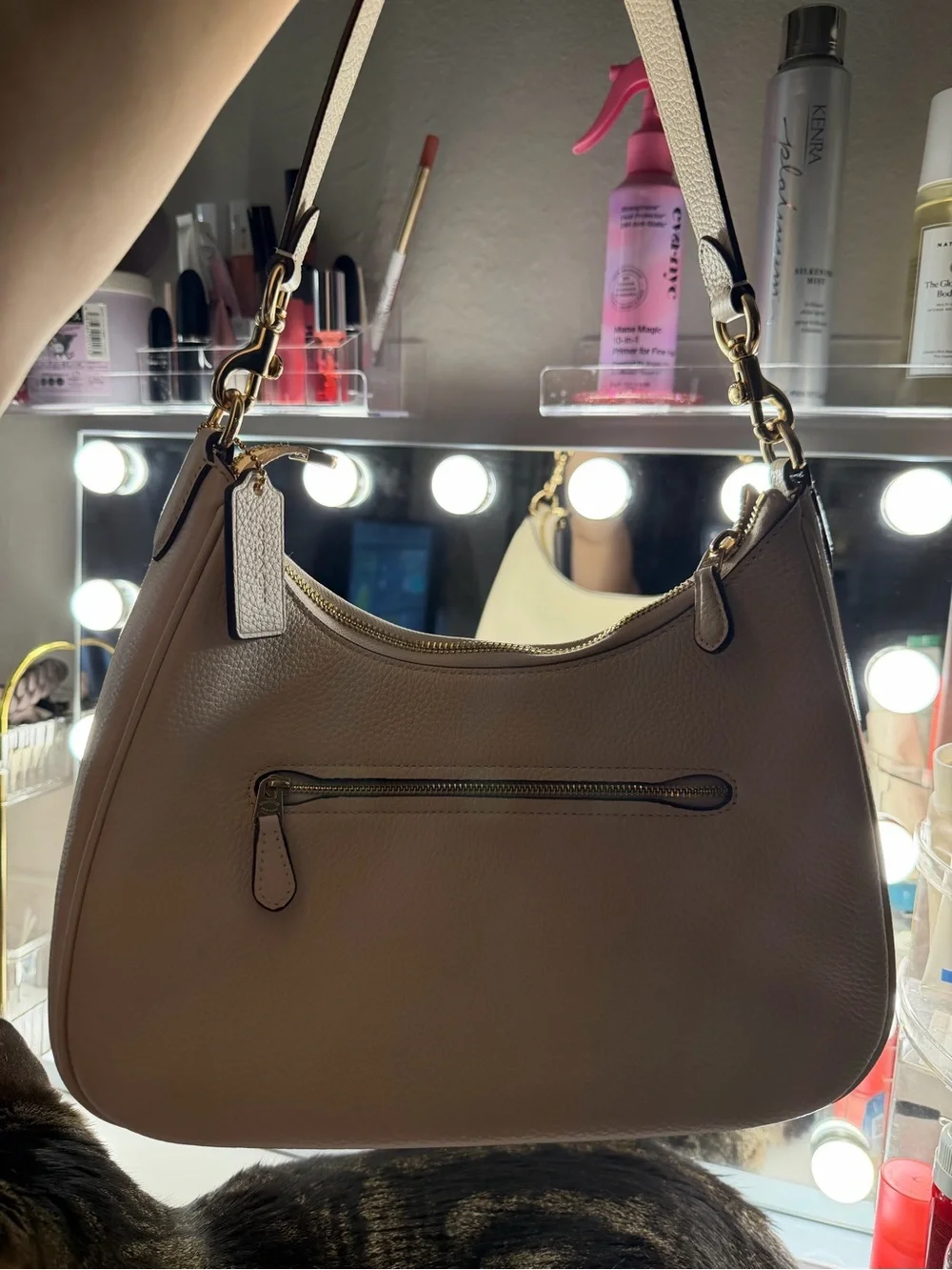 Coach leather Shoulder Hobo Bag in Taupe